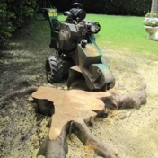 Gallery Image Number 7