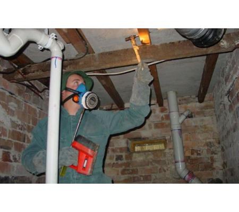 Systems Pest Management Pty Ltd - Thornleigh, NSW