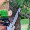AAA Tree and Landscaping gallery
