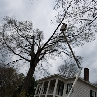 Davis Brothers Tree Care, Inc