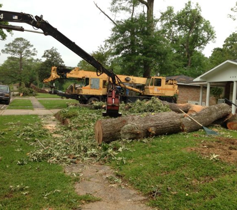 Tiger Tree Services,LLC. - Greenwell Springs, LA