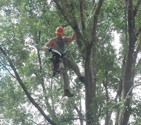 ForeverGreen Arboriculture - Lindstrom, MN