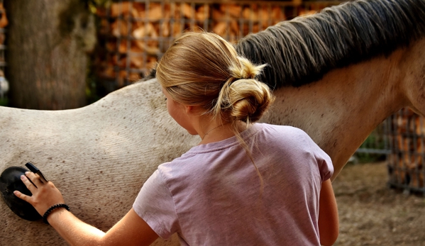 The Meadows of Murfreesboro Horse Farm - Murfreesboro, TN