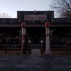 Briar Patch