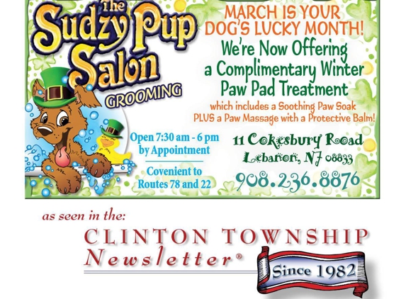 The Sudzy Pup Salon - Lebanon, NJ