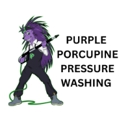 Purple Porcupine Pressure Washing - Gutters & Downspouts