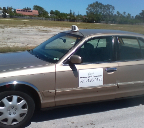 Tree Hugger Taxi - Port Saint John, FL