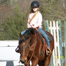 Mountain Dell Equestrian - Horse Training