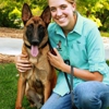 Dog Training Elite Salt Lake City gallery