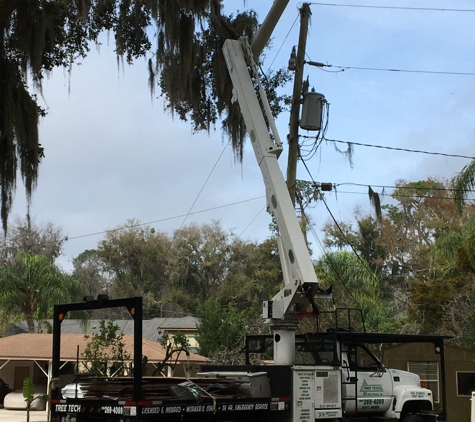 Tree Tech-Tree Service - Green Cove Springs, FL