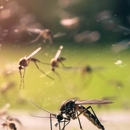 Pest Control Solutions - Pest Control Equipment & Supplies