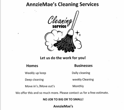 Annziemae's Cleaning Service - Rolla, MO