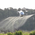 Aerial Forestry Services