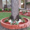 Texas Care Landscaping LLC gallery