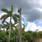 Seminole Tree Service