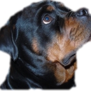 Ol Country Rotties - Pet Breeders