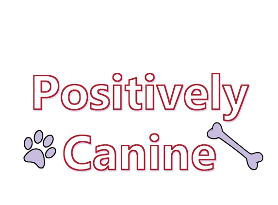 Positively Canine - Westfield, IN