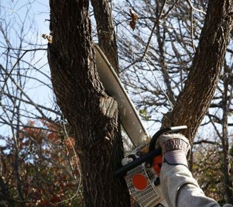 Carney Tree Service LLC - Clifton, NJ