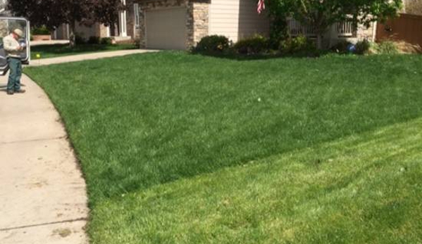 TruGreen Lawn Care - Hickory Hills, IL