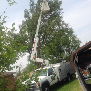 Unique Tree Trimming