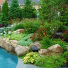 Chop Chop Landscaping in Myrtle Beach