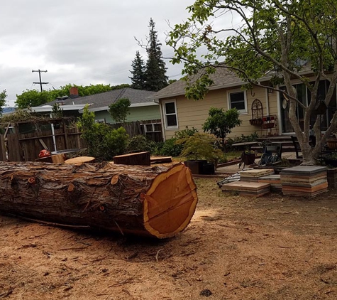 Mike's Tree Service - Napa, CA