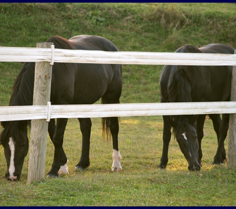 WoodFinn Farm - Newport, PA