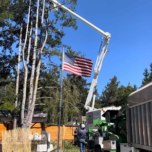 La Sirenita Tree Service