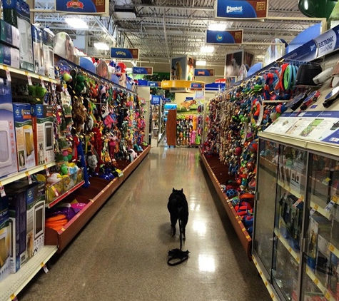 PetSmart - El Segundo, CA