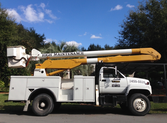 High Maintenance Tree Service - Dunnellon, FL