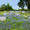 Memorial Care of North Texas Grave Site Maintenance gallery