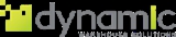 Dynamic Warehouse Solutions Logo