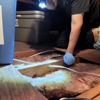 JKR Pest Solutions gallery