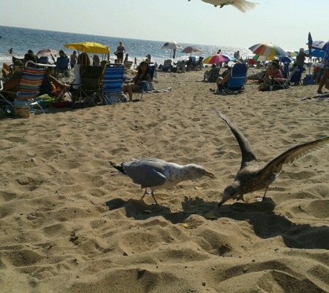 Westerly Town Beach - Westerly, RI