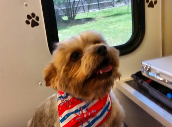 Harts Mobile Dog Grooming - Chuluota, FL