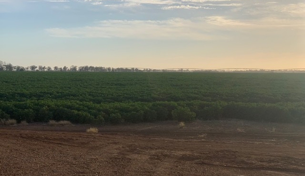 Macquarie Valley Fuels - Narromine, NSW