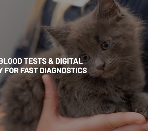 Torquay and Surfcoast Veterinary Clinics - Torquay, VIC. In-House Blood Tests & Digital Radiology For Fast Diagnostics