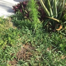 Modern Cuts of SWFL Inc. - Lawn Maintenance