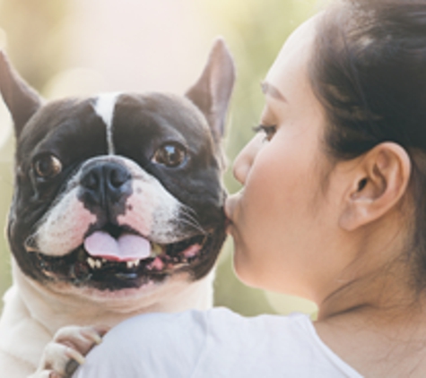 Rancho San Carlos Pet Clinic Inc. - San Diego, CA