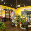 Bumblebee Blooms Flower Boutique gallery