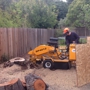 Tom 4 Stump Removal & Grinding