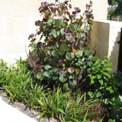 Gallery Image Number 4