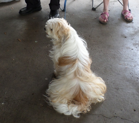 Okaloosa Animal Clinic - Crestview, FL. Writers' picnic