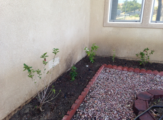 Ricardo's Landscaping & Tree Service - Rancho Cucamonga, CA