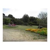 Gallery Image Number 3