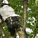 Enlightenment Tree Service - Tree Service