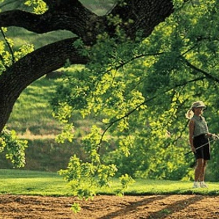 Serrano Country Club - El Dorado Hills, CA