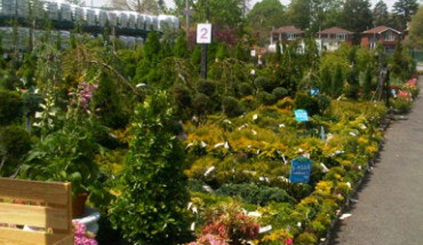 Garden World - Flushing, NY