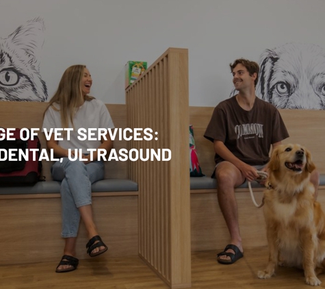 Torquay and Surfcoast Veterinary Clinics - Torquay, VIC. Full Range Of Vet Services: Surgery, Dental, Ultrasound