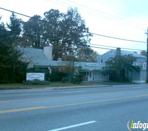 Dande-Lion Herb Shop - Glen Burnie, MD